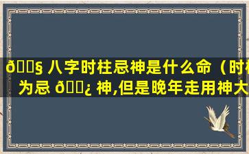 🐧 八字时柱忌神是什么命（时柱为忌 🌿 神,但是晚年走用神大运）